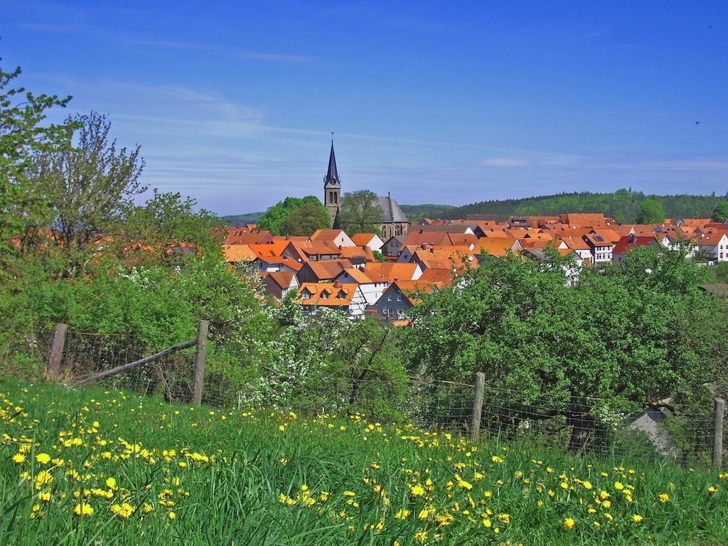 Ferienwohnung Am-Brueckenrain Frankenau Экстерьер фото