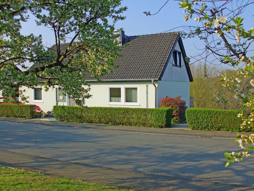 Ferienwohnung Am-Brueckenrain Frankenau Экстерьер фото